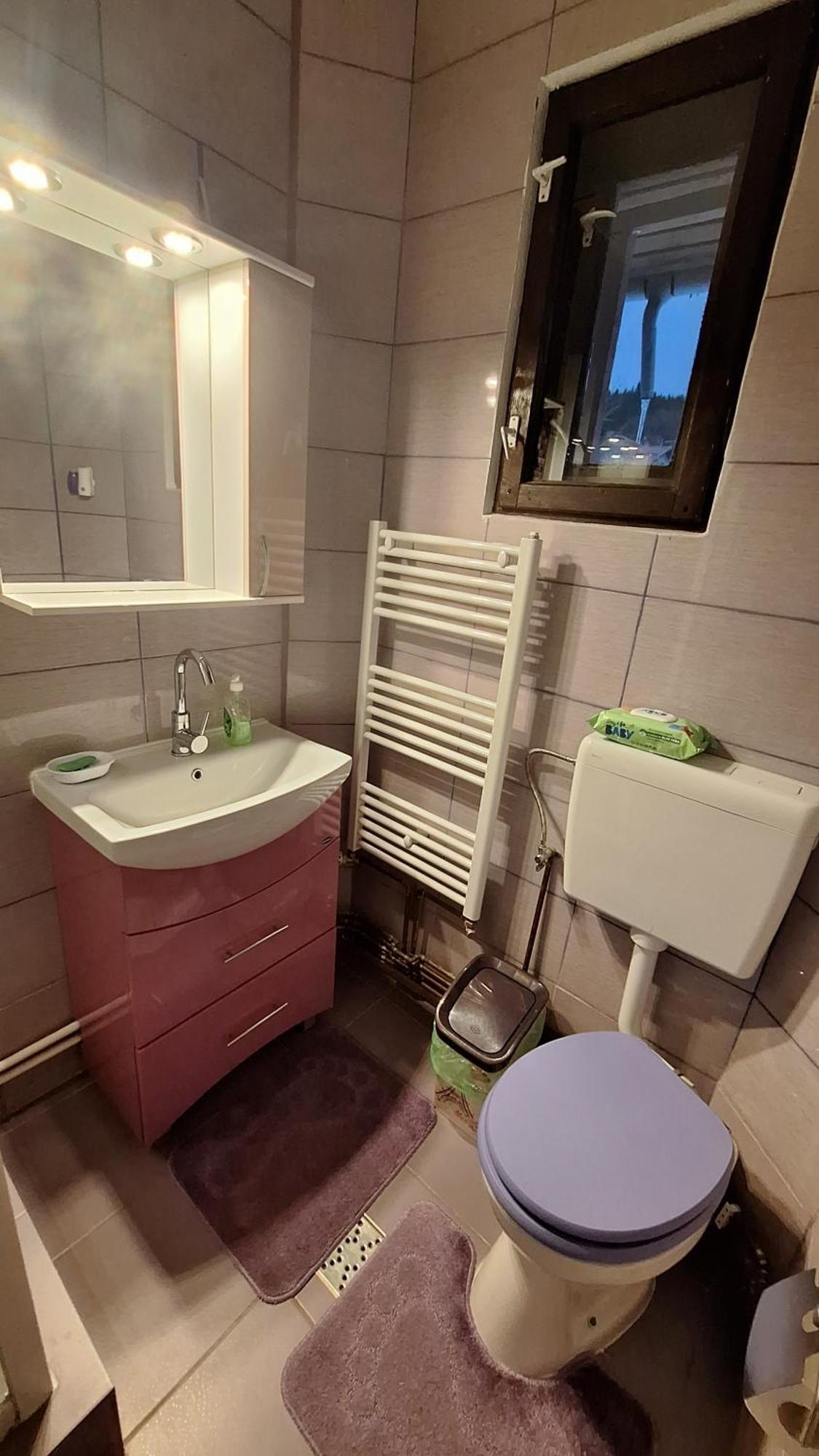 Casa Antonia Ξενοδοχείο Azuga Εξωτερικό φωτογραφία